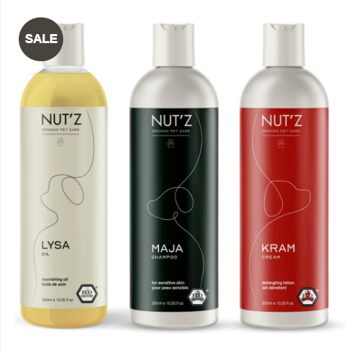 routine chats routine chats